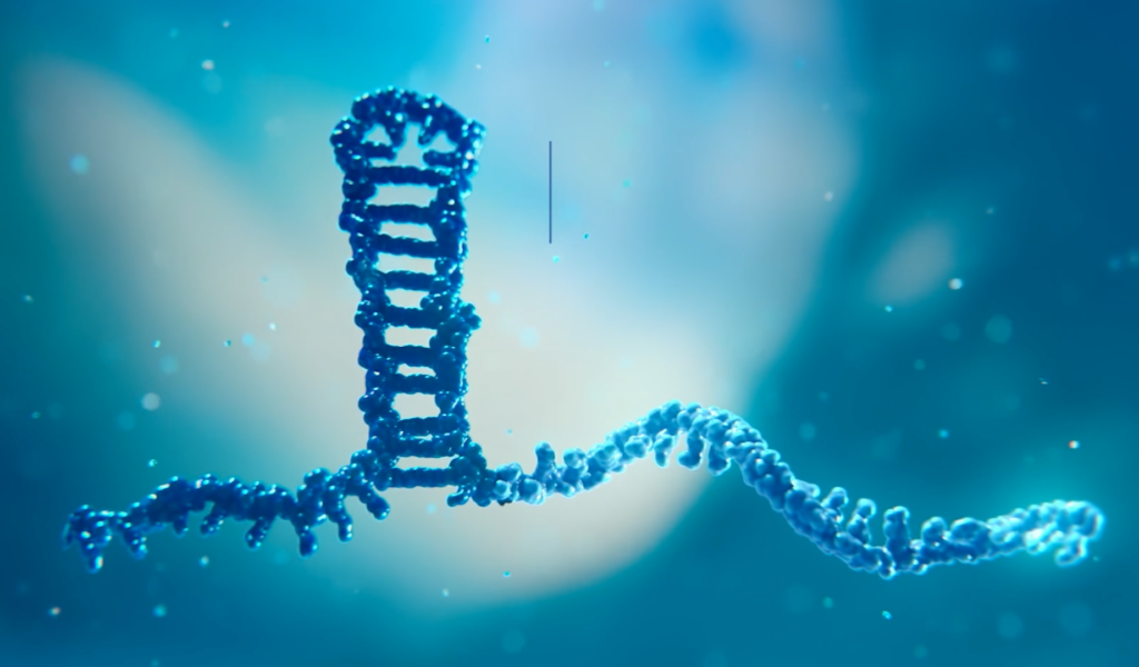 Transine Therapeutics
